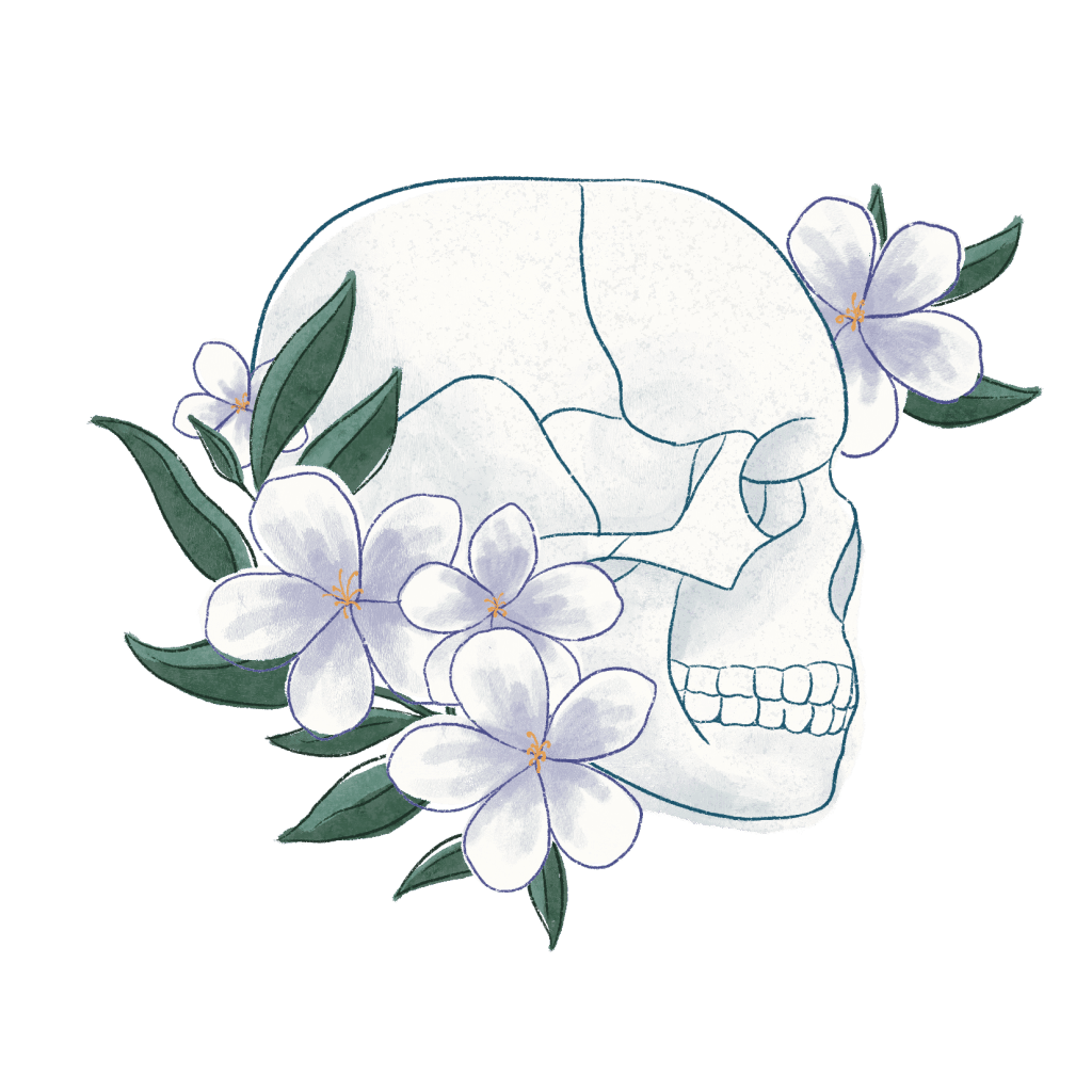 Logo Sandra Querrien ostéopathe crâne blanc avec des fleurs violettes